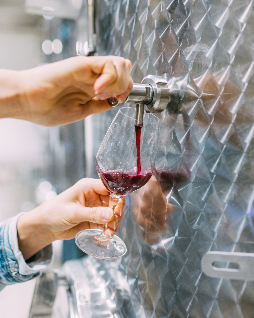 Initiation à l'œnologie