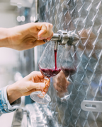 Initiation à l'œnologie