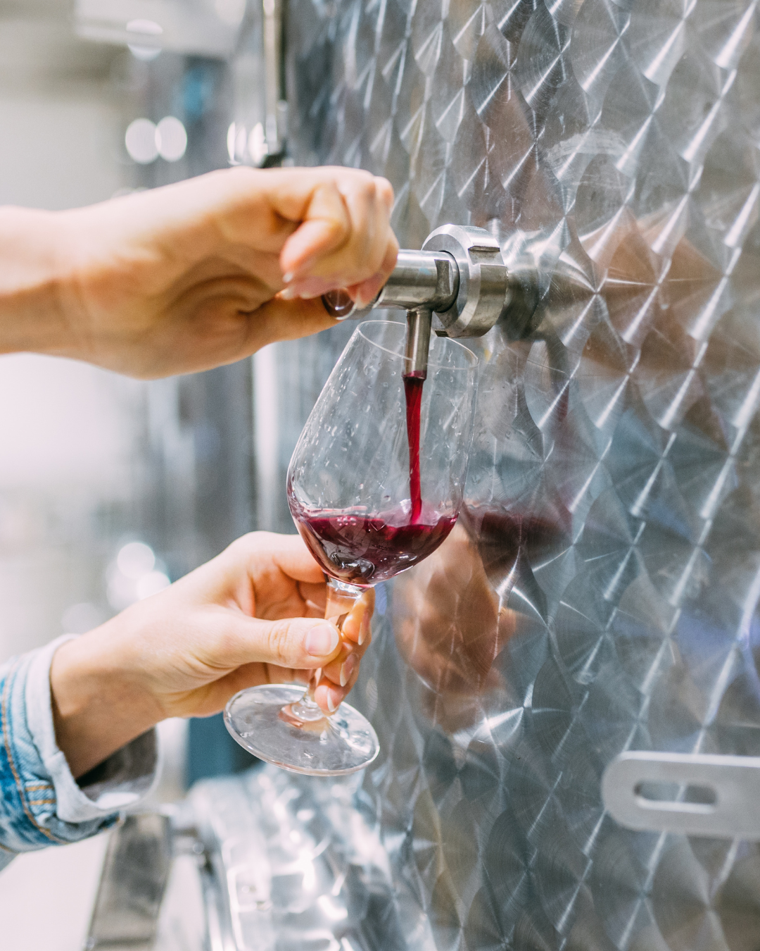 Initiation à l'œnologie